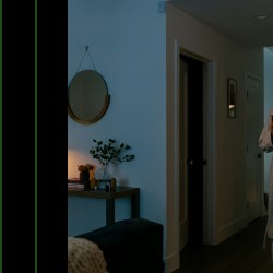 Home Security Video Monitor Florida