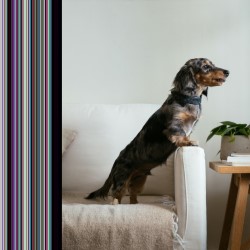 Vivint Wireless Home Security Systems Florida