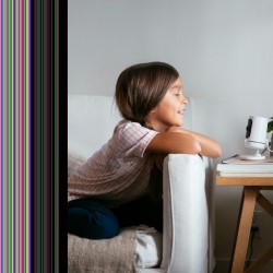 Vivid Home Security System Florida